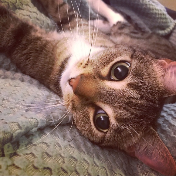 Welcome ππ₯°ππ½ππ» - Picture 4 of 5